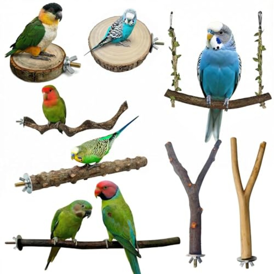 8PCS natural wood bird perches - огляд і ціна Health & Wellness Festival