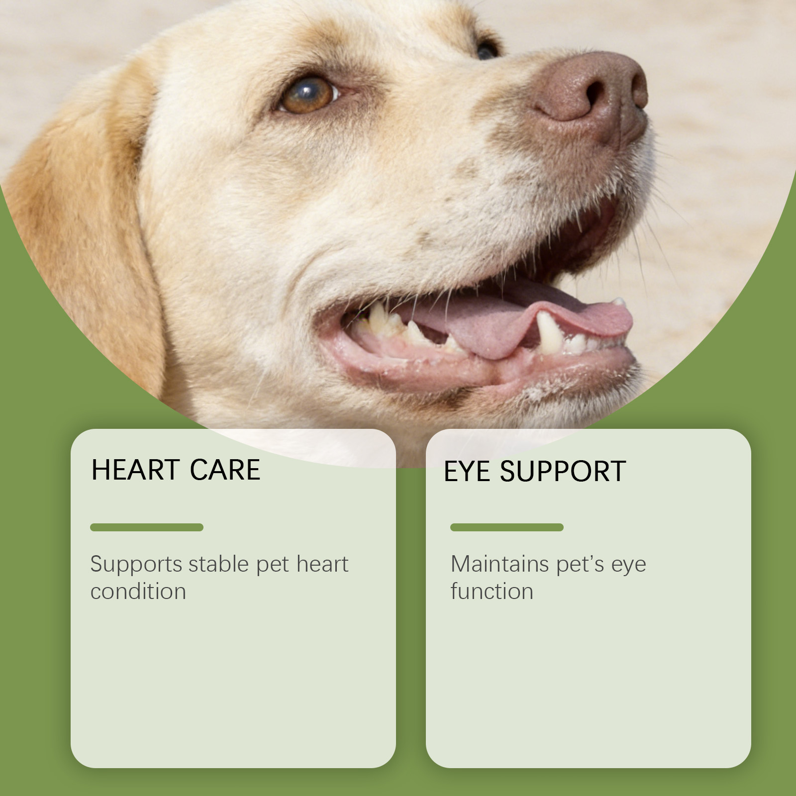 Dog Taurine Powder Easy-To-Mix - огляд і ціна Wellness Health Nutrition
